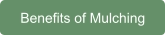 Benefits of Mulching