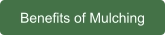 Benefits of Mulching